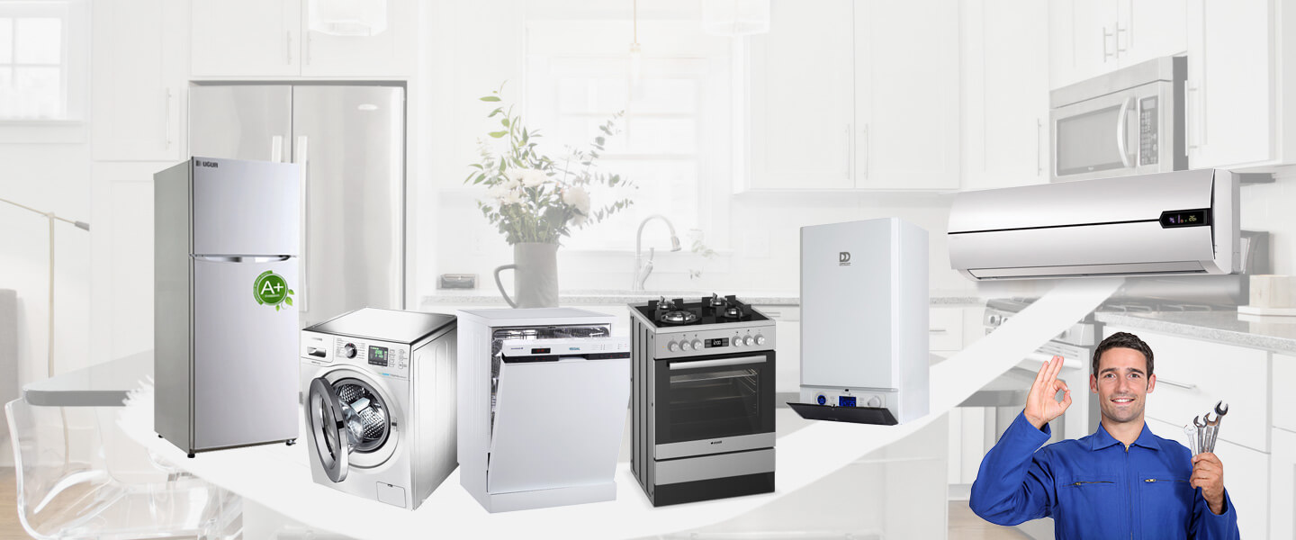 Koçarlı Daikin Servisi